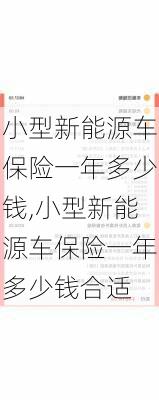 小型新能源车保险一年多少钱,小型新能源车保险一年多少钱合适-第2张图片-苏希特新能源