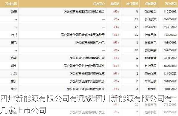 四川新能源有限公司有几家,四川新能源有限公司有几家上市公司-第2张图片-苏希特新能源
