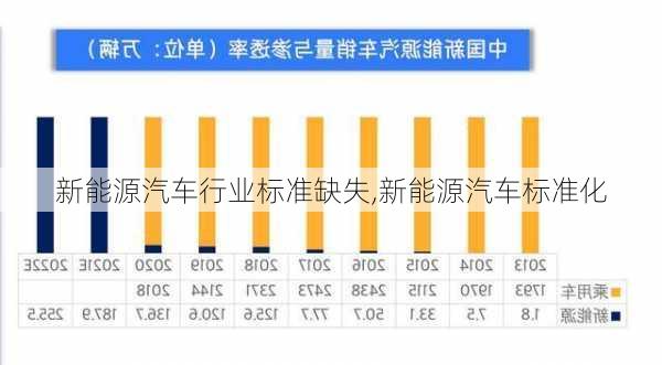 新能源汽车行业标准缺失,新能源汽车标准化-第2张图片-苏希特新能源