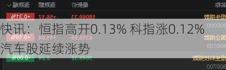 快讯：恒指高开0.13% 科指涨0.12%汽车股延续涨势-第3张图片-苏希特新能源