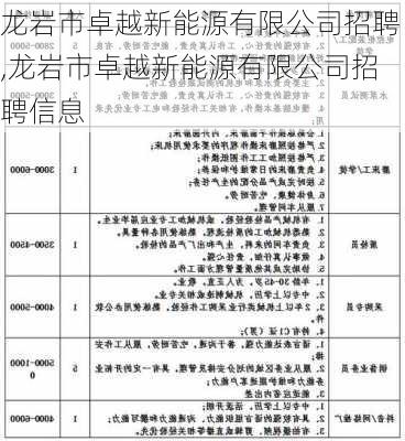 龙岩市卓越新能源有限公司招聘,龙岩市卓越新能源有限公司招聘信息-第1张图片-苏希特新能源