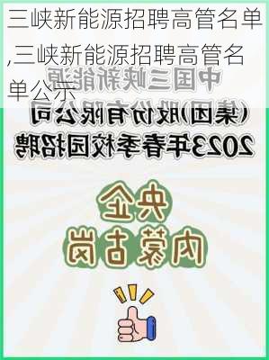 三峡新能源招聘高管名单,三峡新能源招聘高管名单公示-第1张图片-苏希特新能源