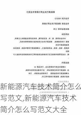 新能源汽车技术简介怎么写范文,新能源汽车技术简介怎么写范文大全-第1张图片-苏希特新能源