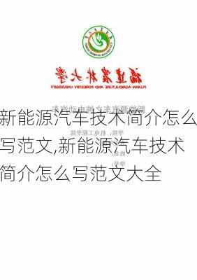 新能源汽车技术简介怎么写范文,新能源汽车技术简介怎么写范文大全-第2张图片-苏希特新能源