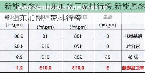 新能源燃料山东加盟厂家排行榜,新能源燃料山东加盟厂家排行榜