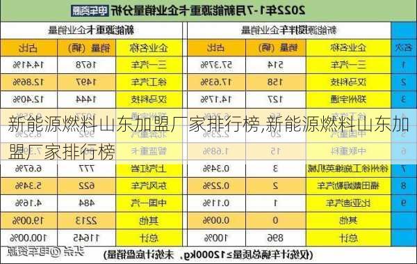 新能源燃料山东加盟厂家排行榜,新能源燃料山东加盟厂家排行榜-第2张图片-苏希特新能源