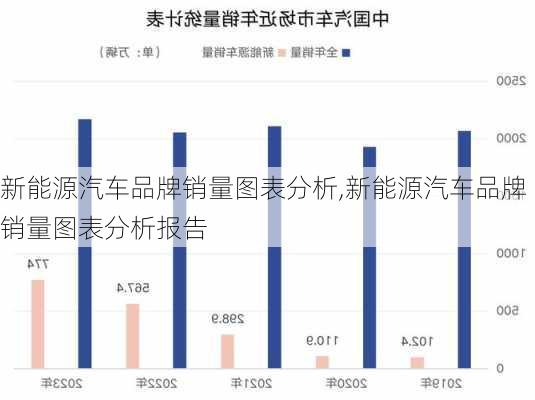 新能源汽车品牌销量图表分析,新能源汽车品牌销量图表分析报告-第2张图片-苏希特新能源