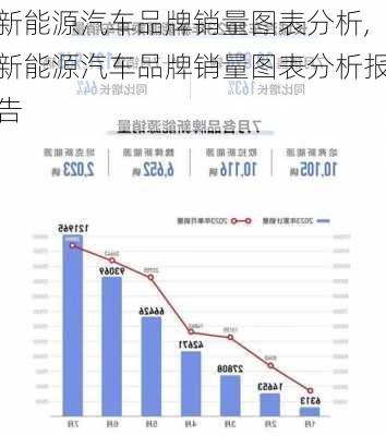 新能源汽车品牌销量图表分析,新能源汽车品牌销量图表分析报告