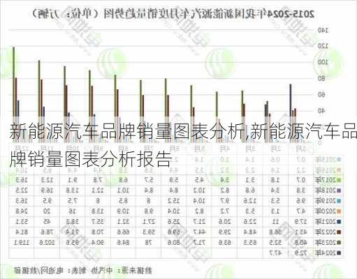 新能源汽车品牌销量图表分析,新能源汽车品牌销量图表分析报告-第3张图片-苏希特新能源