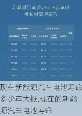 现在新能源汽车电池寿命多少年大概,现在的新能源汽车电池寿命-第3张图片-苏希特新能源