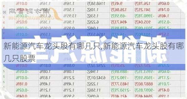 新能源汽车龙头股有哪几只,新能源汽车龙头股有哪几只股票