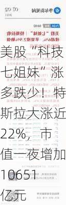 美股“科技七姐妹”涨多跌少！特斯拉大涨近22%，市值一夜增加10651亿元-第3张图片-苏希特新能源