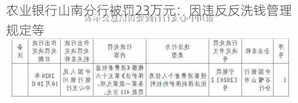 农业银行山南分行被罚23万元：因违反反洗钱管理规定等-第1张图片-苏希特新能源