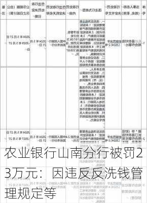 农业银行山南分行被罚23万元：因违反反洗钱管理规定等-第2张图片-苏希特新能源