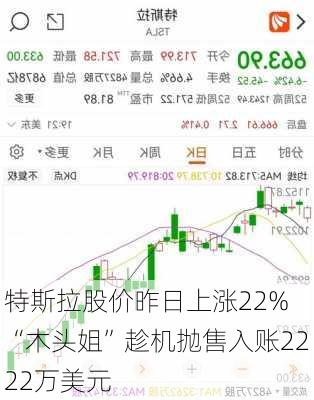 特斯拉股价昨日上涨22% “木头姐”趁机抛售入账2222万美元-第2张图片-苏希特新能源