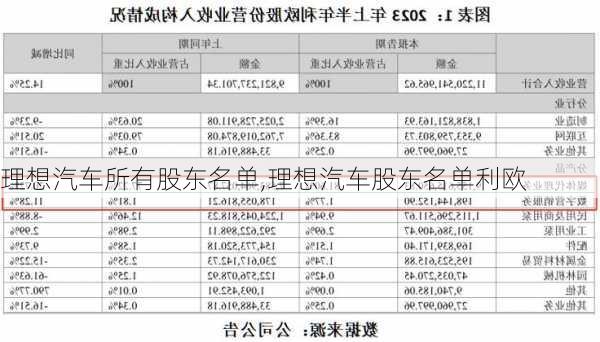 理想汽车所有股东名单,理想汽车股东名单利欧-第1张图片-苏希特新能源