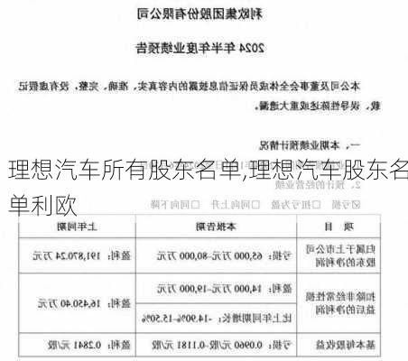 理想汽车所有股东名单,理想汽车股东名单利欧-第3张图片-苏希特新能源