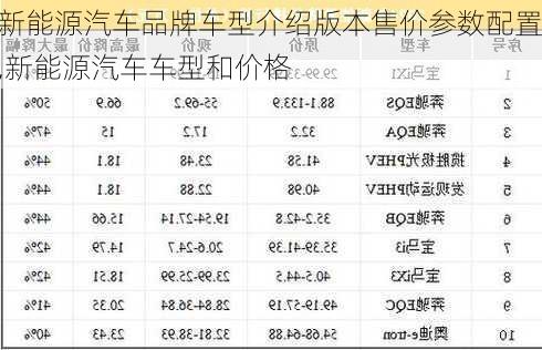 新能源汽车品牌车型介绍版本售价参数配置,新能源汽车车型和价格-第2张图片-苏希特新能源