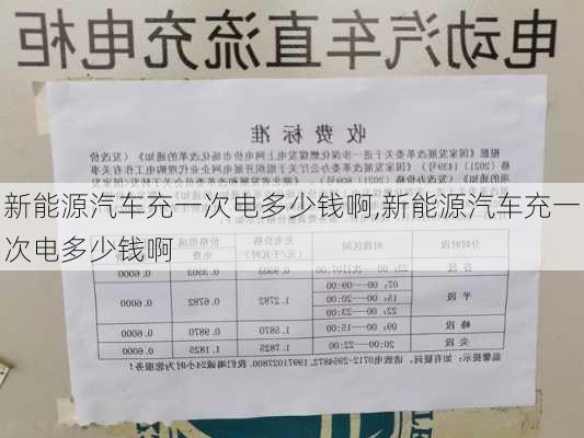 新能源汽车充一次电多少钱啊,新能源汽车充一次电多少钱啊-第2张图片-苏希特新能源