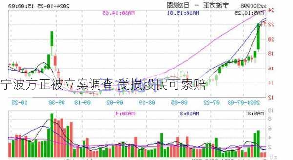 宁波方正被立案调查 受损股民可索赔-第3张图片-苏希特新能源