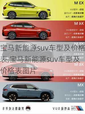 宝马新能源suv车型及价格表,宝马新能源suv车型及价格表图片-第3张图片-苏希特新能源