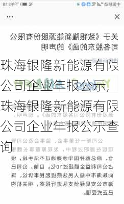 珠海银隆新能源有限公司企业年报公示,珠海银隆新能源有限公司企业年报公示查询-第2张图片-苏希特新能源