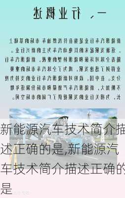 新能源汽车技术简介描述正确的是,新能源汽车技术简介描述正确的是-第3张图片-苏希特新能源