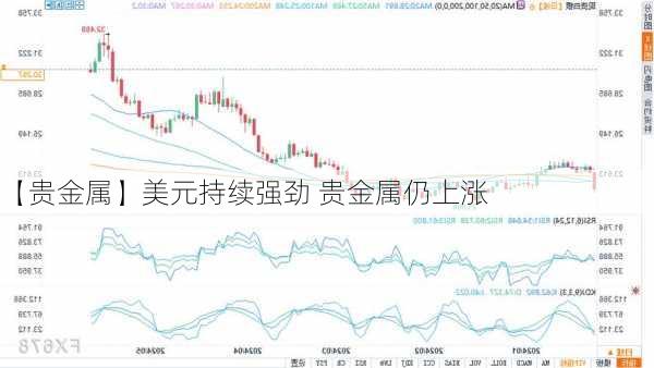 【贵金属】美元持续强劲 贵金属仍上涨-第2张图片-苏希特新能源