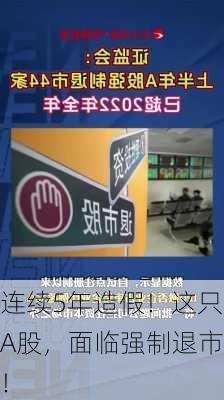 连续5年造假！这只A股，面临强制退市！-第2张图片-苏希特新能源