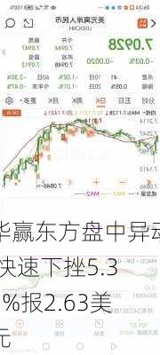 华赢东方盘中异动 快速下挫5.39%报2.63美元-第1张图片-苏希特新能源