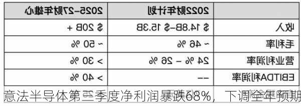 意法半导体第三季度净利润暴跌68%，下调全年预期-第2张图片-苏希特新能源