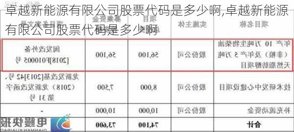 卓越新能源有限公司股票代码是多少啊,卓越新能源有限公司股票代码是多少啊-第1张图片-苏希特新能源