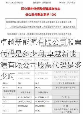 卓越新能源有限公司股票代码是多少啊,卓越新能源有限公司股票代码是多少啊-第2张图片-苏希特新能源