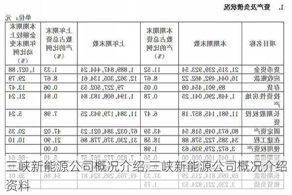 三峡新能源公司概况介绍,三峡新能源公司概况介绍资料-第3张图片-苏希特新能源