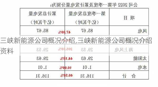 三峡新能源公司概况介绍,三峡新能源公司概况介绍资料-第1张图片-苏希特新能源