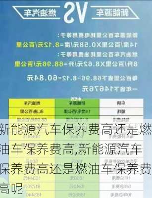 新能源汽车保养费高还是燃油车保养费高,新能源汽车保养费高还是燃油车保养费高呢-第2张图片-苏希特新能源