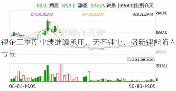 锂企三季度业绩继续承压，天齐锂业、盛新锂能陷入亏损-第1张图片-苏希特新能源