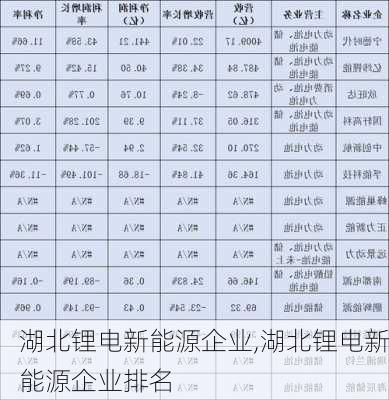 湖北锂电新能源企业,湖北锂电新能源企业排名-第3张图片-苏希特新能源