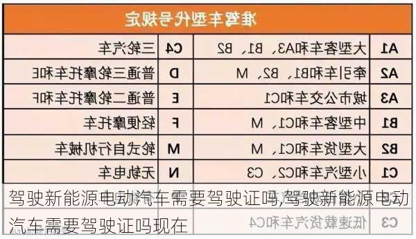 驾驶新能源电动汽车需要驾驶证吗,驾驶新能源电动汽车需要驾驶证吗现在-第2张图片-苏希特新能源