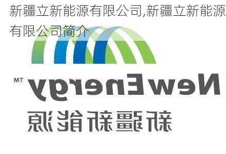 新疆立新能源有限公司,新疆立新能源有限公司简介-第2张图片-苏希特新能源