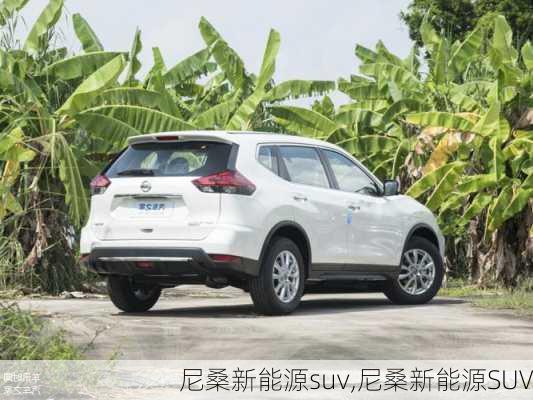 尼桑新能源suv,尼桑新能源SUV-第3张图片-苏希特新能源