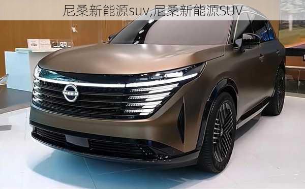 尼桑新能源suv,尼桑新能源SUV-第1张图片-苏希特新能源