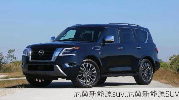 尼桑新能源suv,尼桑新能源SUV-第2张图片-苏希特新能源