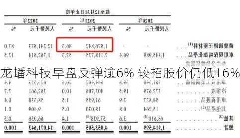 龙蟠科技早盘反弹逾6% 较招股价仍低16%-第2张图片-苏希特新能源