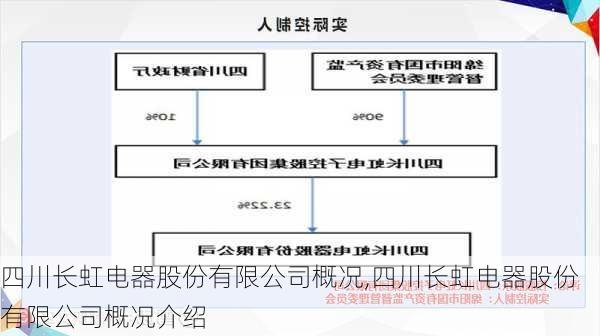 四川长虹电器股份有限公司概况,四川长虹电器股份有限公司概况介绍-第1张图片-苏希特新能源