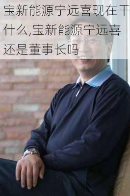 宝新能源宁远喜现在干什么,宝新能源宁远喜还是董事长吗-第2张图片-苏希特新能源