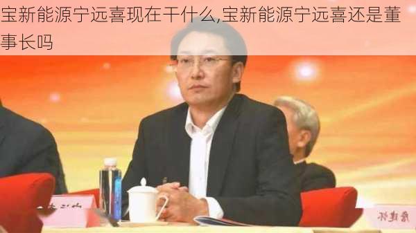 宝新能源宁远喜现在干什么,宝新能源宁远喜还是董事长吗-第3张图片-苏希特新能源