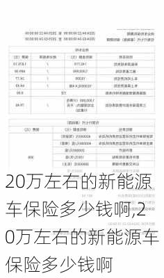 20万左右的新能源车保险多少钱啊,20万左右的新能源车保险多少钱啊-第1张图片-苏希特新能源