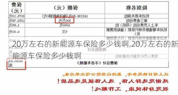 20万左右的新能源车保险多少钱啊,20万左右的新能源车保险多少钱啊-第2张图片-苏希特新能源