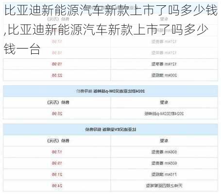 比亚迪新能源汽车新款上市了吗多少钱,比亚迪新能源汽车新款上市了吗多少钱一台-第1张图片-苏希特新能源